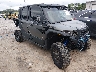 3NSG5W998RM****** Salvamento y Destrozados 2024 Polaris Xpedition en Rec Rides Online Exclusive