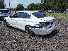 WBAJA9C58KB****** Salvamento y Reparables 2019 BMW 530e en Greenville