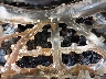 JM3KFBCM1N1****** Repairable 2022 Mazda CX-5 in Syracuse