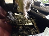 JM3KFBCM1N1****** Used and Repairable 2022 Mazda CX-5 in New York State