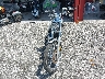 1HD1CGP483K****** Used and Repairable 2003 Harley-Davidson Sportster 1200 Custom in Florida State