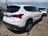 5NMS2DAJ2MH****** Salvamento y Destrozados 2021 Hyundai Santa Fe en Estado de Colorado