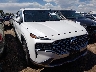 5NMS2DAJ3MH****** Salvamento y Destrozados 2021 Hyundai Santa Fe en Denver East
