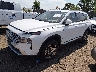 5NMS2DAJ7MH****** Usados y Reparables 2021 Hyundai Santa Fe en Denver East