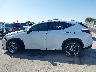 2T2HGCEZXTC****** Repairable 2026 Lexus NX 350 in Texas State