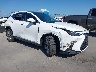 2T2HGCEZXTC****** Salvage and Wrecked 2026 Lexus NX 350 in Austin North