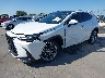 2T2HGCEZXTC****** Used and Repairable 2026 Lexus NX 350 in Austin North