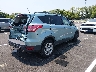 1FMCU0GX5DU****** Salvamento y Destrozados 2013 Ford Escape en Estado de Tennessee