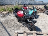ML5EXGG19TD****** Salvamento y Reparables 2026 Kawasaki Ninja 500 en Rec Rides Online Exclusive