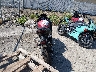 ML5EXGG19TD****** Salvamento y Reparables 2026 Kawasaki Ninja 500 en Estado de Kansas