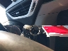 2GKFLUEK8G6****** Salvamento 2016 GMC Terrain en Estado de Pennsylvania