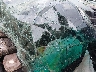 5TDJK3EH1AS****** Salvage 2010 Toyota Highlander