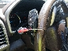 1FTEW1EGXHF****** Salvage 2017 Ford F-150 in Tennessee State
