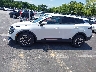 KNDPU3DF9R7****** Reparables 2024 Kia Sportage en Estado de Tennessee