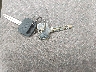 1Y1SK5282WZ****** Salvage 1998 Chevrolet Prizm in Kentucky State