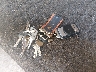 4V0TC3323EE****** Salvage 2014 Crossroads Zinger Zt33bh in Massachusetts State