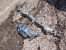 2T3C1RFV8KC****** Destrozados 2019 Toyota RAV4 en Estado de Mississippi