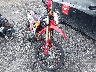 MLHND1619R5****** Salvage and Wrecked 2024 Honda CRF300L in Rec Rides Online Exclusive