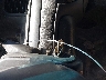 2FAHP71V89X****** Salvamento 2009 Ford Crown Victoria en Estado de Texas