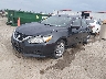 1N4AL3APXGC****** Used and Repairable 2016 Nissan Altima in Wichita