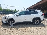 2T3RWRFVXRW****** Salvamento 2024 Toyota RAV4 Hybrid