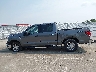 1FTFW3L86RK****** Salvage 2024 Ford F-150