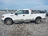 1FTFX1CFXBK****** Salvage 2011 Ford F-150