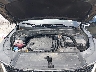 5XYRLDJC1RG****** Repairable 2024 Kia Sorento in Buckhannon