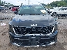 5XYRLDJC1RG****** Wrecked 2024 Kia Sorento in West Virginia State