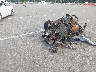 1HD1FC4158Y****** Salvamento y Destrozados 2008 Harley-Davidson Electra Glide Ultra Classic en Estado de Nueva York