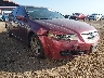 19UUA66294A****** Salvamento y Destrozados 2004 Acura TL en Phoenix