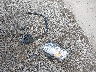 1C4RJFAG9DC****** Wrecked 2013 Jeep Grand Cherokee in Ohio State