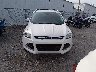 1FMCU9J95GU****** Destrozados 2016 Ford Escape en Estado de Oklahoma
