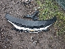 1G1ZD5ST7RF****** Repairable 2024 Chevrolet Malibu