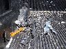 1FTEW1E47LK****** Wrecked 2020 Ford F-150 in Tennessee State