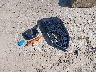 SHHFK7H27HU****** Wrecked 2017 Honda Civic in Indiana State
