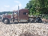 1XP5DB9X01N****** Reparables 2001 Peterbilt 379 en Estado de Tennessee