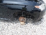 JA4AZ3A36EZ****** Salvage and Repairable 2014 Mitsubishi Outlander in Missouri State