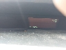 JTDKN3DU0A0****** Salvamento 2010 Toyota Prius en Tifton