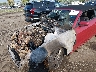 1ZVBP8FF0D5****** Salvamento y Reparables 2013 Ford Mustang en Estado de Virginia