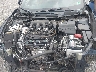 1N4AA6AV3KC****** Reparables 2019 Nissan Maxima en Roanoke
