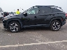 5NMJECDEXRH****** Repairable 2024 Hyundai Tucson in North Carolina State