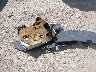 JTHBH96S265****** Wrecked 2006 Lexus GS 300 in Texas State