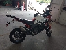 ZDMXANDTXSB****** Destrozados 2025 Ducati Desert X en Estado de Florida