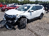2HKRW2H81MH****** Used and Repairable 2021 Honda CR-V in Lexington