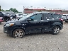 1FMCU9GX5DU****** Destrozados 2013 Ford Escape en Estado de Maine