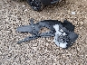 KNDEUCAA9T7****** Wrecked 2026 Kia Seltos in New York State