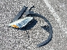 1FMCU9HX6DU****** Destrozados 2013 Ford Escape en Estado de Indiana