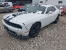 2C3CDZKG4KH****** Used and Repairable 2019 Dodge Challenger in Omaha