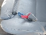 WBABW53424P****** Salvamento 2004 BMW 3 Series en Estado de California